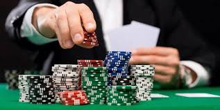 Официальный сайт Casino Cat